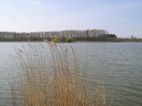 Chrast - Horecký rybník