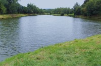 Městské rybníky v Rýmařově