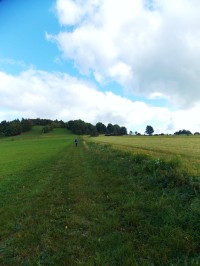 pastviny nad Janovicemi