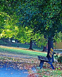 Zámecký park