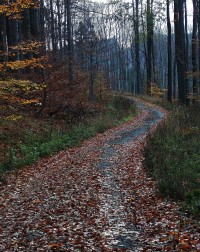 Tesák,Černˇava-podzimní procházka