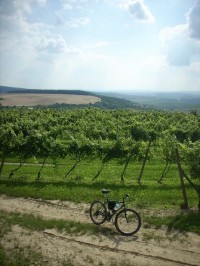 Pěkný rozhled z bukovanských vinohradů