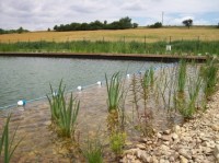 Bantice-přírodní biotop