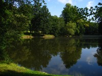 Dačice-zámecký rybník