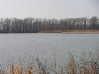 Bartošovické rybníky