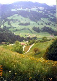V Bernských Alpách