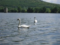 jezero a život na něm