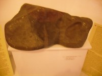 Nalezený meteorit 