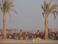 Arabská poušť