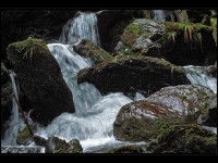 Vrbno pod Pradědem- Vodopády Bílé Opavy- Ludvíkov
