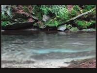 Tůně na Střední Opavě