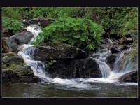 Kaskády Střední Opavy