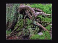 Cestou k vrcholu Malého Děda