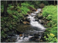 Od pradědské brány