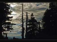 Jeseníky v protisvětle