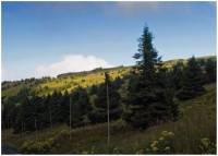 Tabulové skály poblíž Pradědu