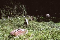Lesní (Ruský) hřbitov pod Rejvízem