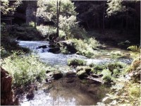 Kamenice - řeka u Dolského mlýnu