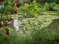 Giverny - zahrady malíře Moneta