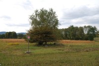 Pastviny u Záhorčic