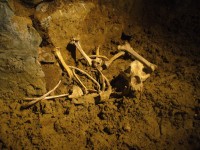 Kosterní pozůstatky nalezeny v jeskyni