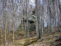 Skalní útvary v lese