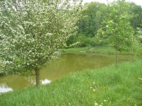 Okolo rybníka