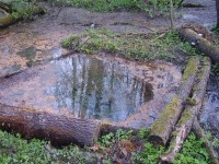 studánka