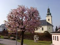 Kostel v Petřvaldu