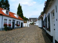 bílé městečko...Thorn