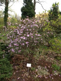 Botanická zahrada venkovní expozice