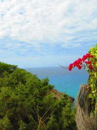 Cala Tarida