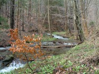 Jesenný potok