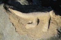 Pozůstatek starověku na Horních Lačnovských skalách (kecám, to tu asi zanechal nějaký nenechavec) 