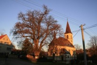 Památná lípa a kostel v Kroučové