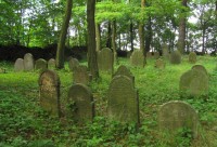 Židovský hřbitov v Habrech