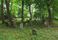 Židovský hřbitov v Habrech