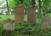 Náhrobky na židovském hřbitově v Habrech