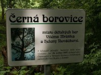 Černá borovice: Místo, kde si v dětství bratři Mrštíkové hrávali.