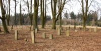 Náhrobky na tyfovém hřbitově
