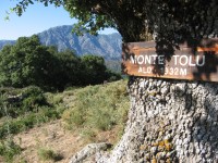 Korsika, Corsica - Monte Tolu