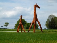 Žirafy u Starnbeger See