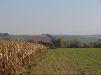 Pohled na kopec Čarodějka ze silnice na Suchdol nad Odrou