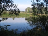 Tisův rybník