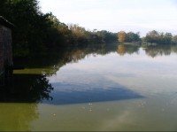 Velký budní rybník