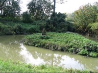 Rybník Prosňák - Vodník poblíž rybníku