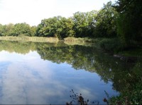 Bažantí rybník