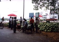 Prodej melounů