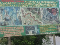 Billboard po peruánsku: kaontakty na jednoho z místních šamanů