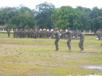 Armáda nacvičuje přehlídku na Fiji day